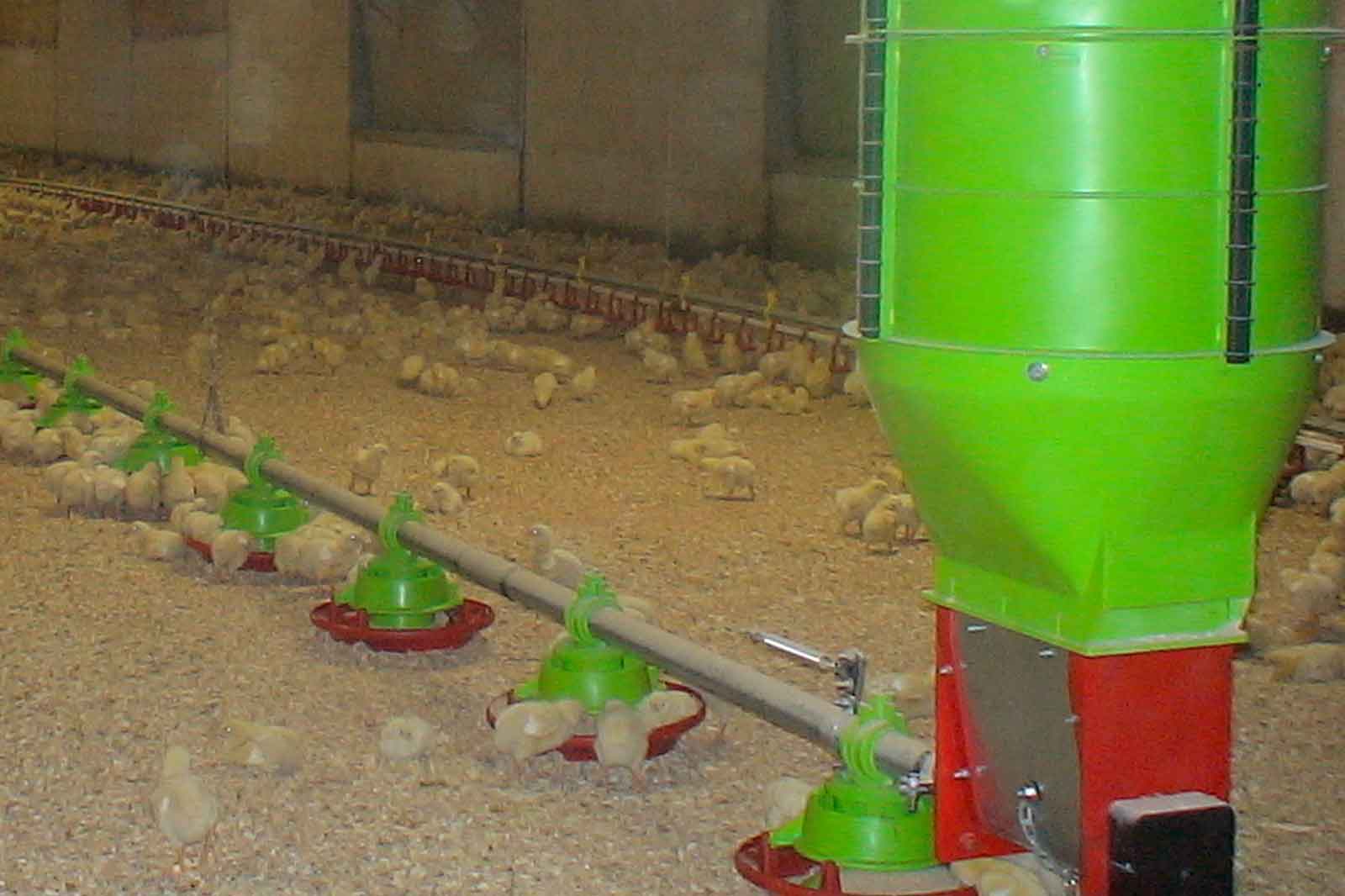 Applicazione-impianto-trasporto-mangime-avicoli-AZA