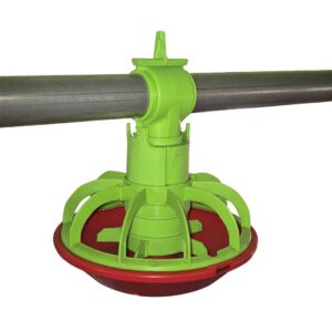 Compacta