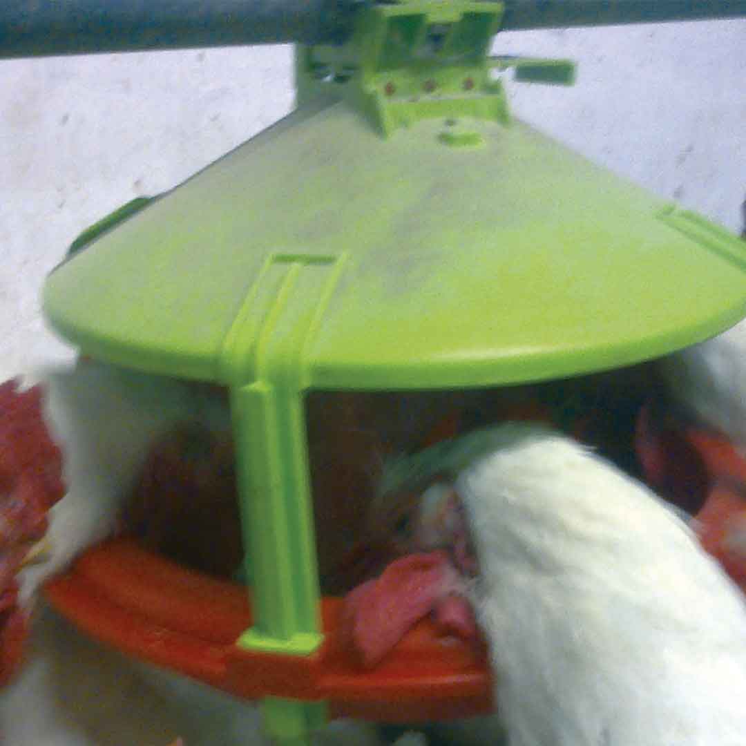 Applicazione Exacta CLR