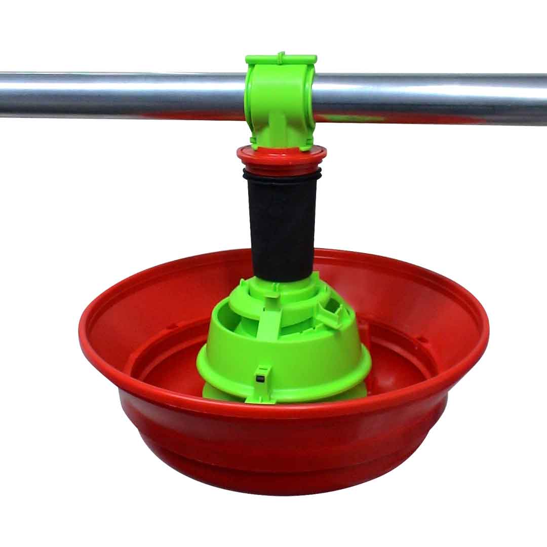 Mixta - The feed pan for turkeys or mixed cycles