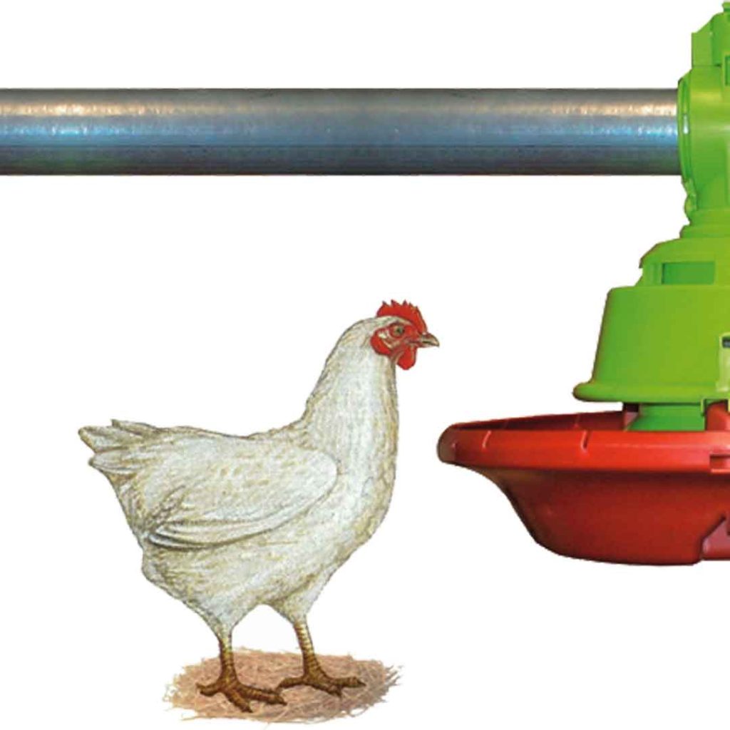 Position automatique adulte avec fenêtre intérieure fermée