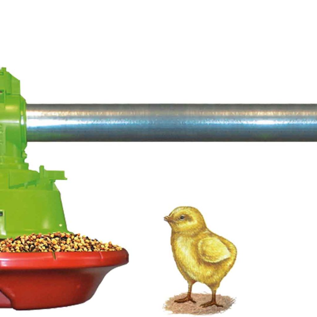 Position automatique poussin avec fenêtre intérieure ouverte