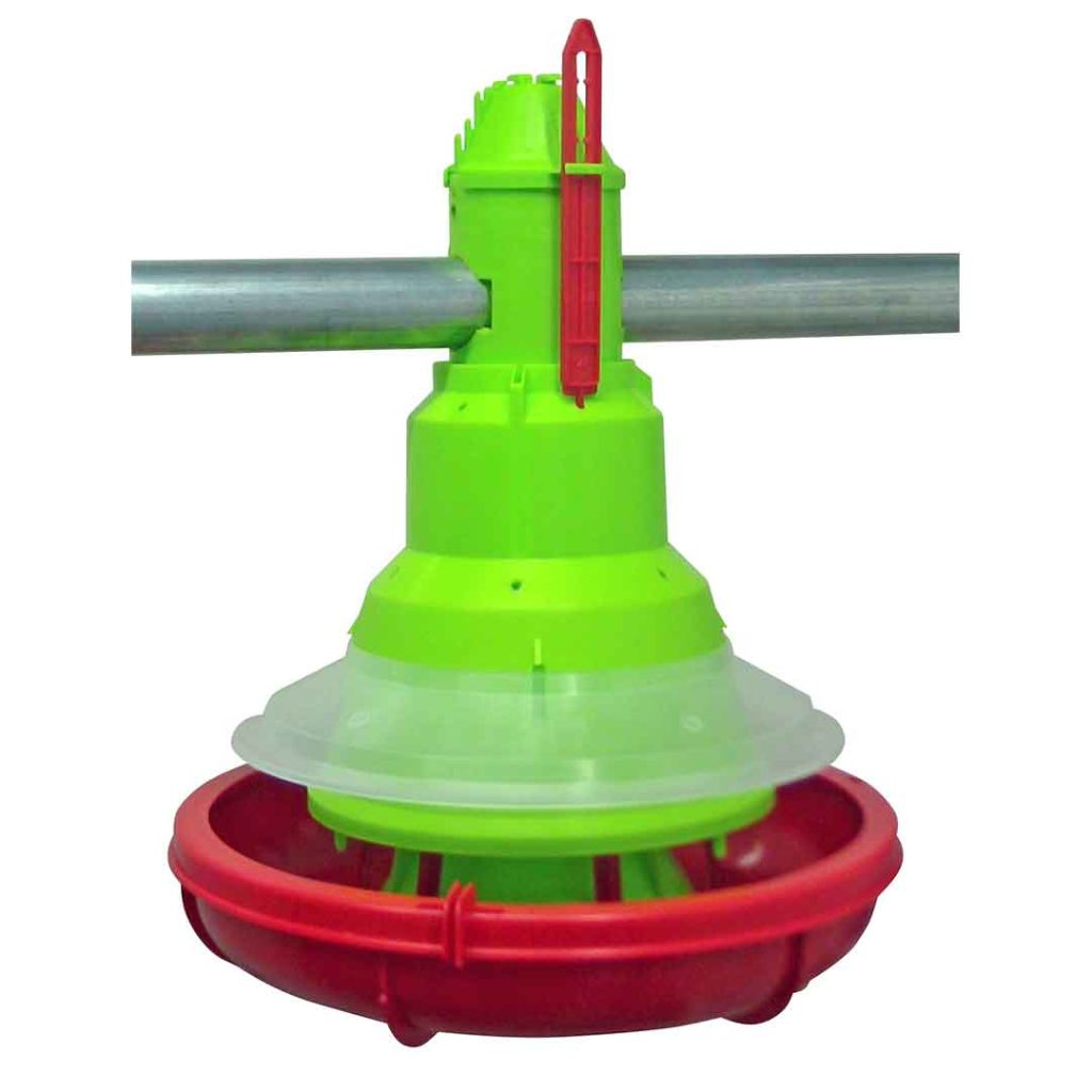 Primi giorni con anello anti pulcino