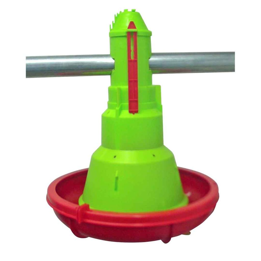 Animali giovani con alimentazione minima