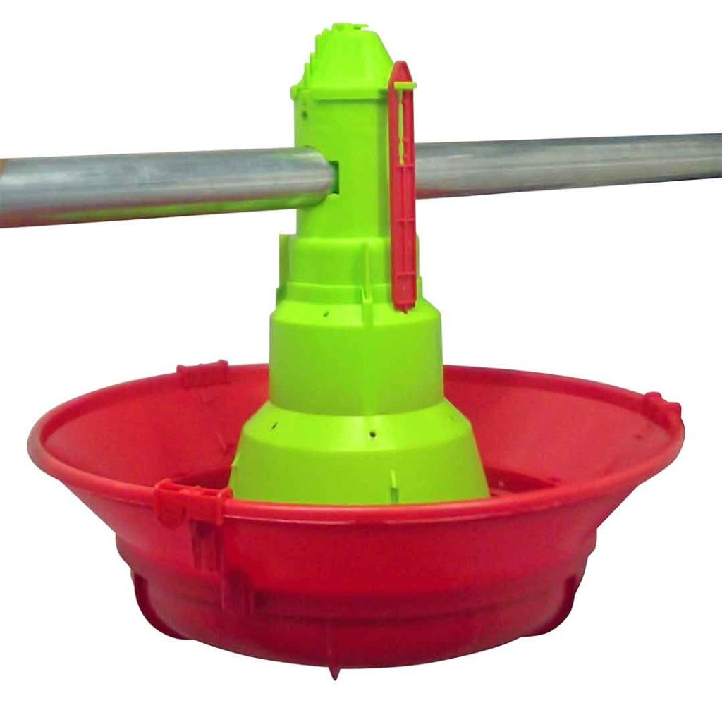 Animali adulti con anello antispreco