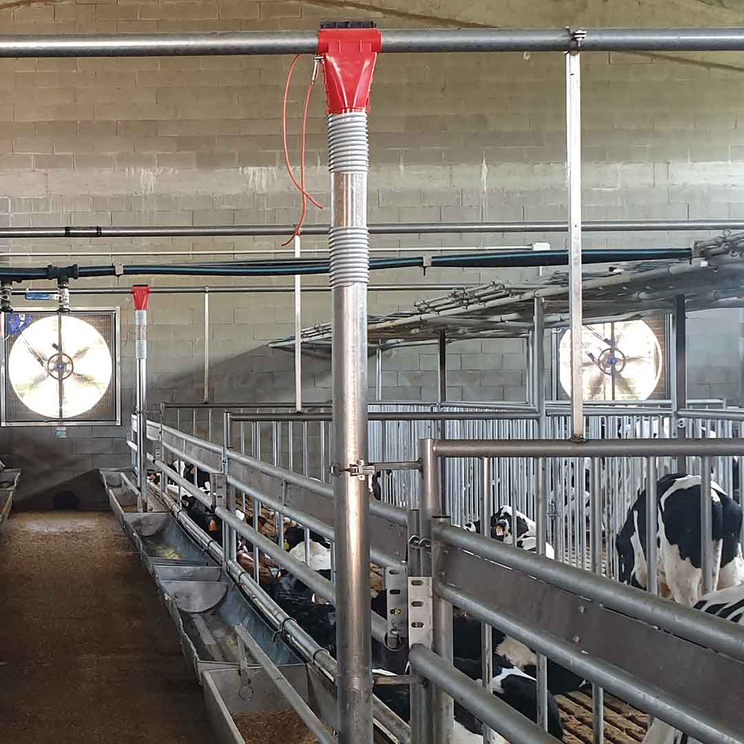 Sistema-di-alimentazione-per-vitelli-09