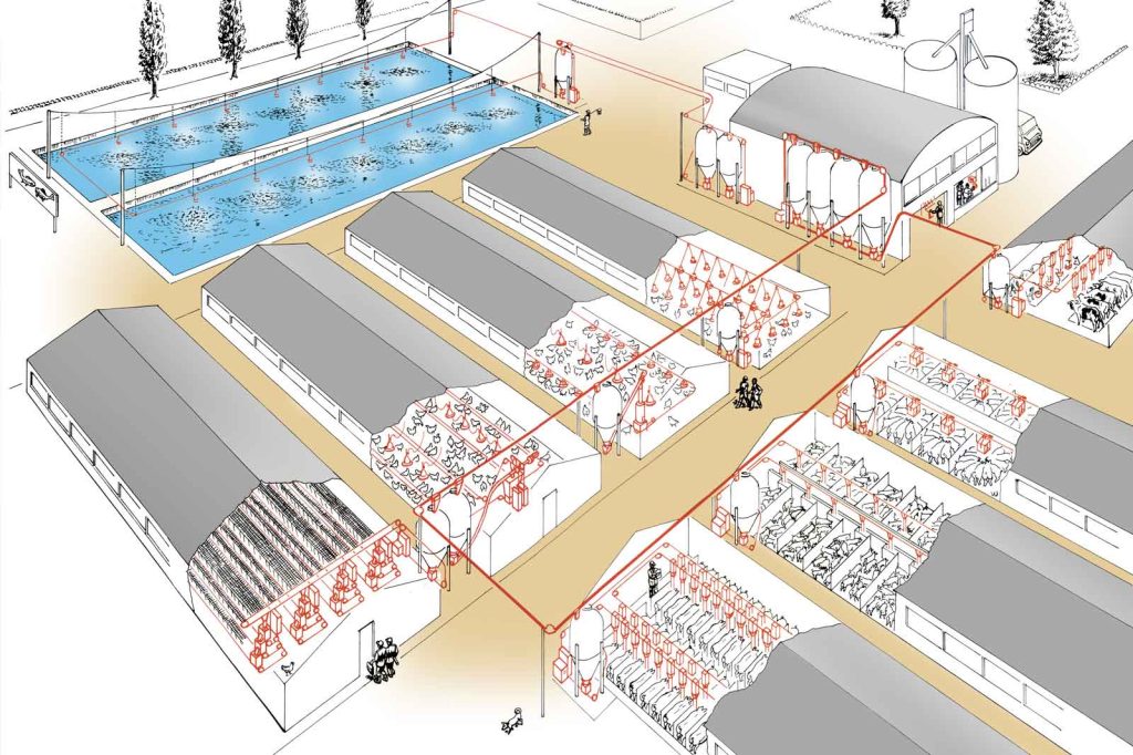 Impianti per il trasporto e la distribuzione automatica di alimenti zootecnici