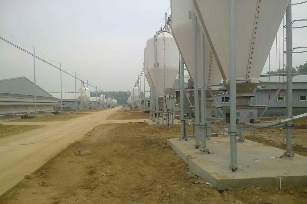 Feeding systems for livestock farms