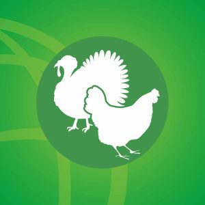 Mixed cycles and Ducks